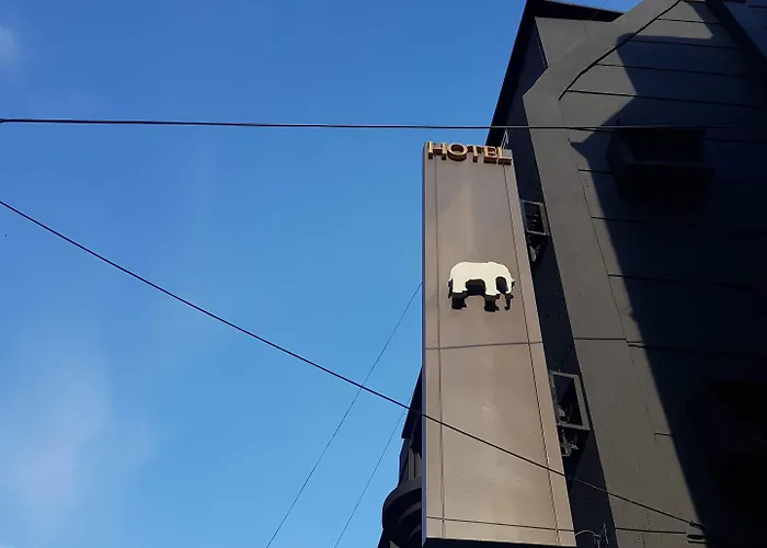 Elephant Motel 3*