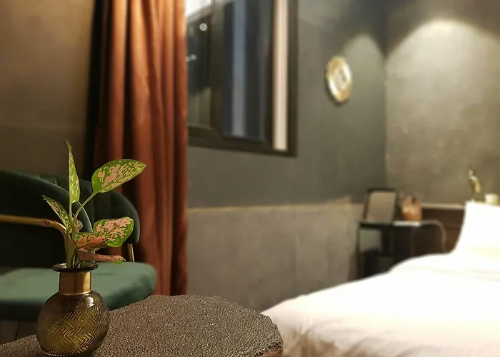 Motel Elephant